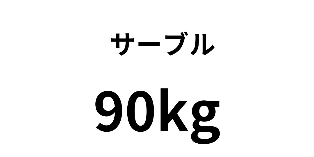 sa-buru90.jpg