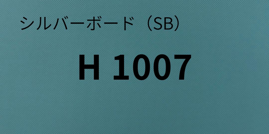 sb-h1007-8.jpg