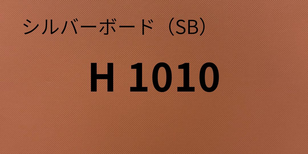 sb-h1010-8.jpg