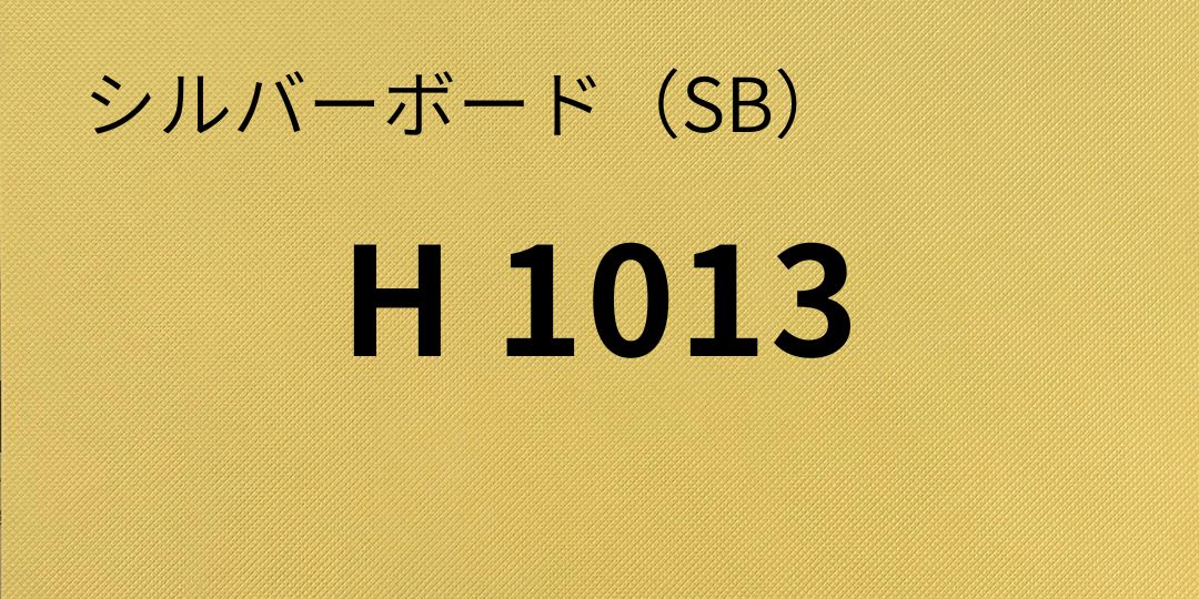 sb-h1013-8.jpg