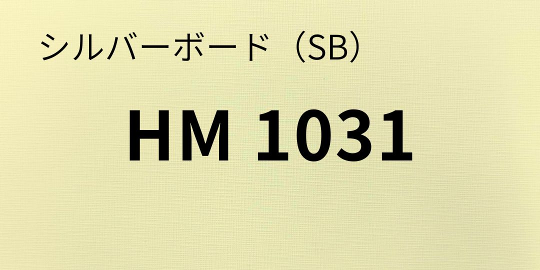 sb-hm1031-8.jpg