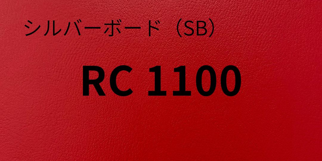sb-rc1100-8.jpg