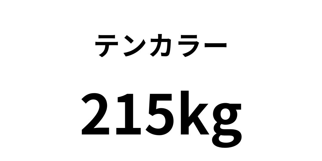テンカウント 色紙 10種 コンプリートセット 一筆箋 3サイズ カラーブロック柄(89519006)｜ミドリオンライン