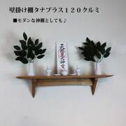 タナプラス120