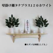 タナプラス120