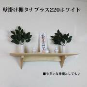 タナプラス220
