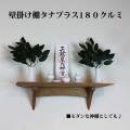 モダン神棚タナプラス180