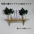 モダン神棚タナプラス180