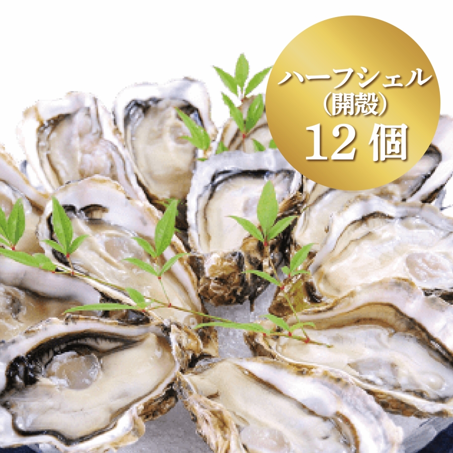かなわ　かなわ海産　大黒神島　生食用　生かき　かなわの生かき　広島県産　牡蠣　かき