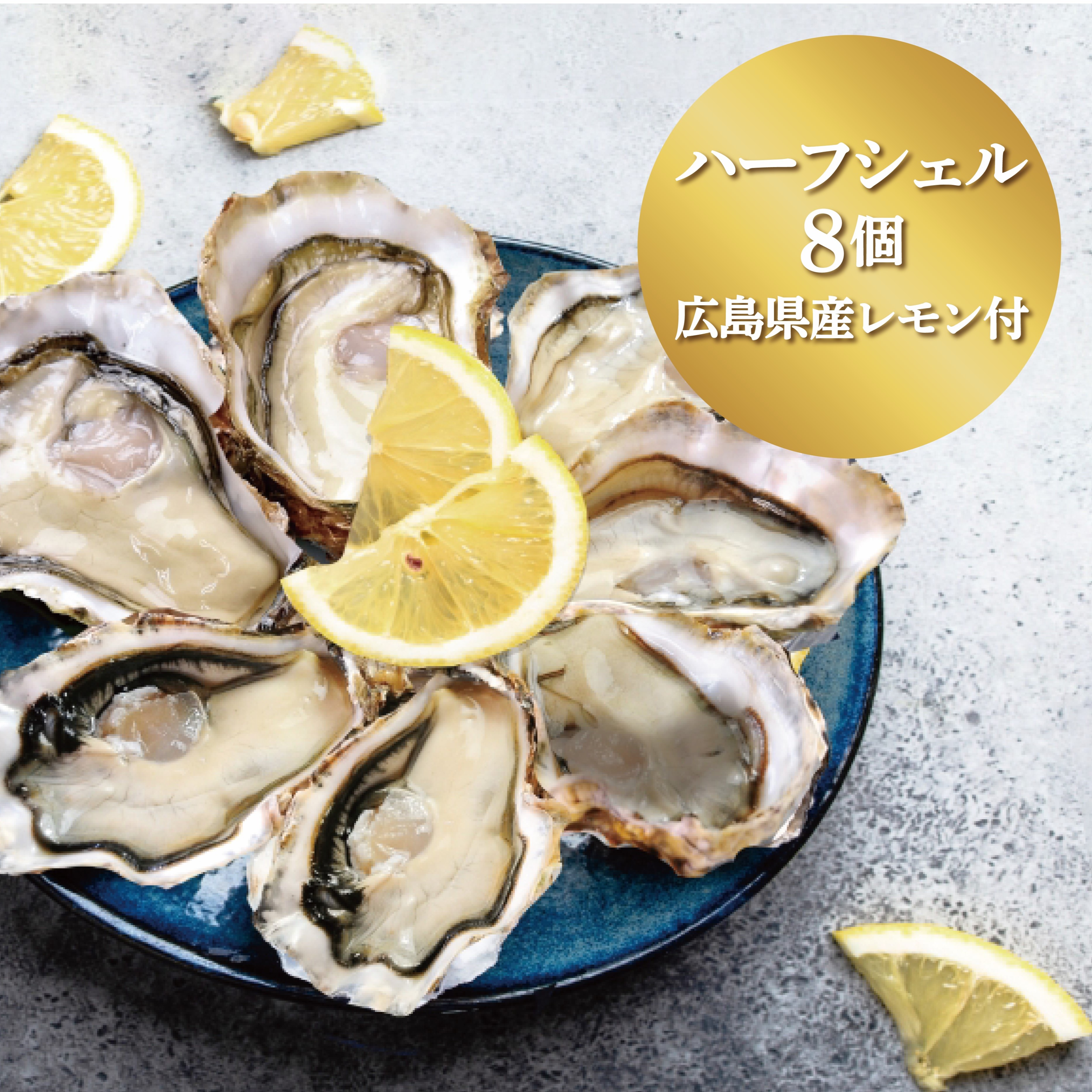 ・受付中・　海　波　エアープランツ　リメ缶　貝殻　貝　シェル　多肉　フルオーダー 受付中・ 海 波 エアープランツ リメ缶 貝殻 貝 シェル 多肉 フル