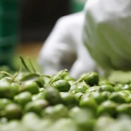 ハッサクオイル