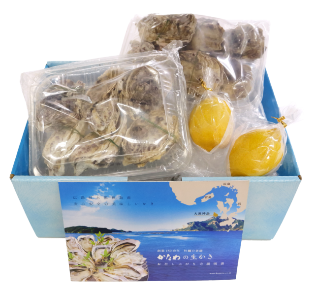 かなわ　かなわ海産　大黒神島　生食用　生かき　かなわの生かき　広島県産　牡蠣　かき　ハーフシェル　開殻