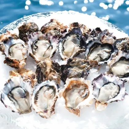 岩かきヴァージン05