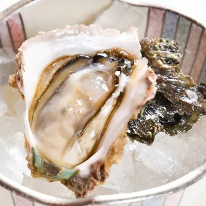 岩かきヴァージン06