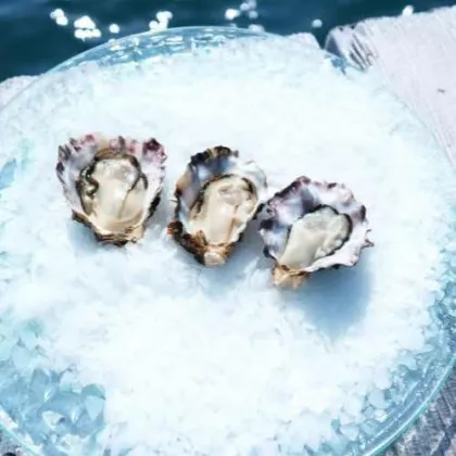 岩かきヴァージン02