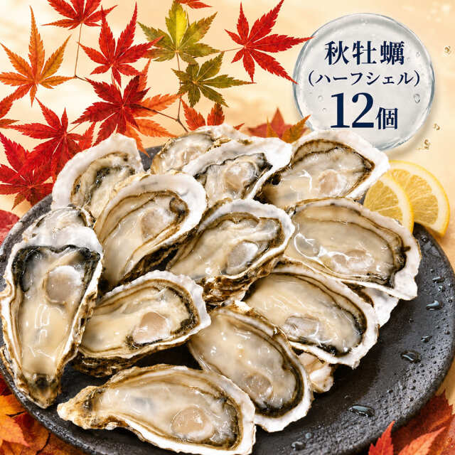 【秋牡蠣】《生食用》ハーフシェルオイスター 12個入
