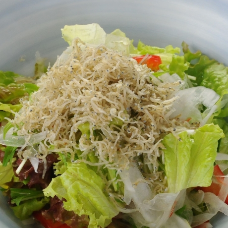 ドレッシング　サラダ