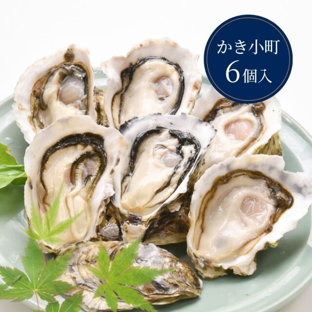 【生食用】かき小町ハーフシェル（開殻）6個入り