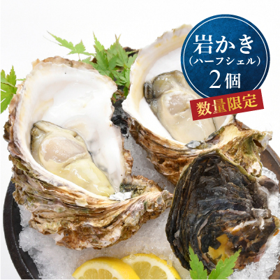 ≪数量限定≫【生食用】「岩かき」ハーフシェル 2個入り