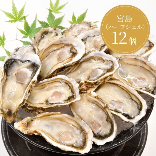 ≪夏季限定≫【生食用】宮島ハーフシェルオイスター 12個入