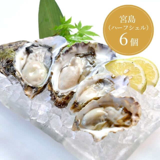 ≪夏季限定≫【生食用】宮島ハーフシェルオイスター 6個入