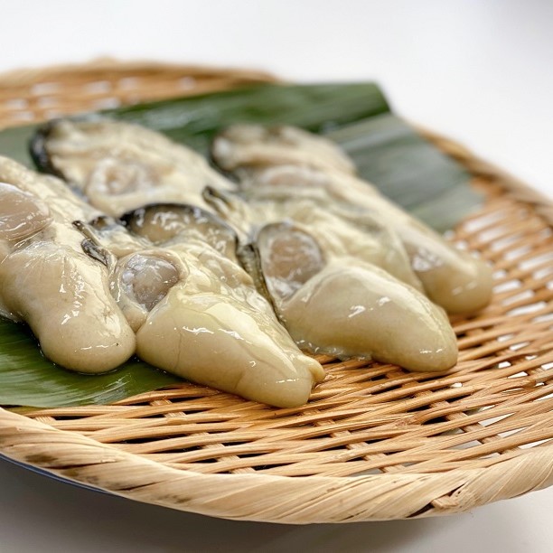 かなわ　かなわ海産　大黒神島　生食用　生かき　かなわの生かき　広島県産　牡蠣　かき