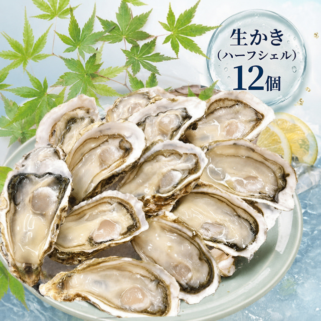 【生かき】《生食用》ハーフシェルオイスター 12個入