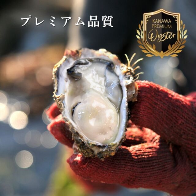 ≪冷凍≫殻付きかきグラタン｜広島牡蠣・広島かきの老舗|かなわ海産