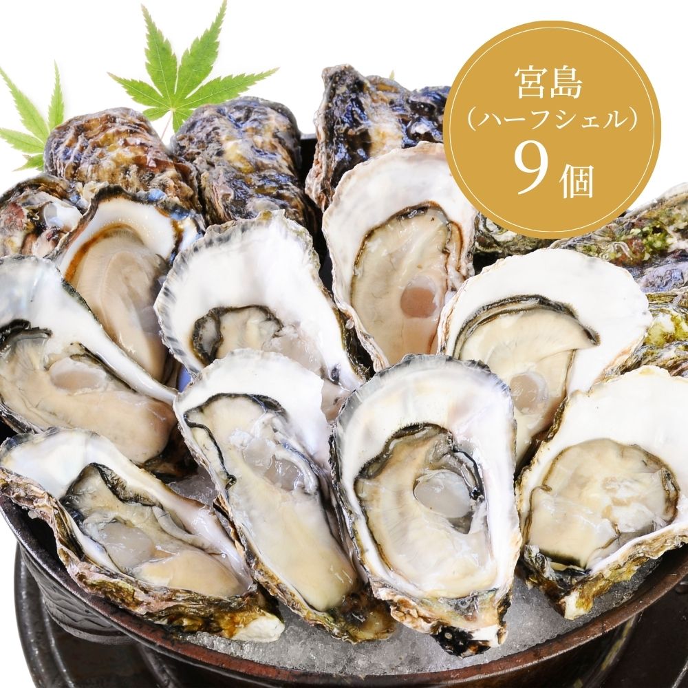 生食用】宮島ハーフシェルオイスター 9個入