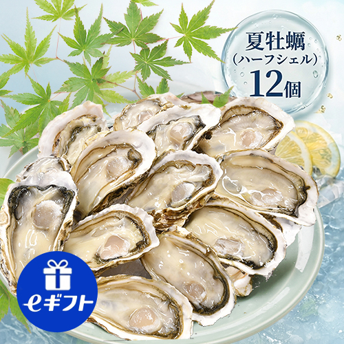 【夏牡蠣】ハーフシェルオイスター 12個入