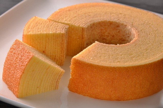 ギムノカリキウム　カステラノシー　6産地セット ギムノカリキウム カステラノシー 6産地セット ギムノカリキウム