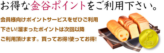 金谷ポイント説明1