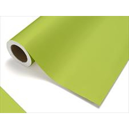 中川ケミカル，カッティングシート，レギュラーシリーズ，412，スプリンググリーン，450mm×12mの商品画像
