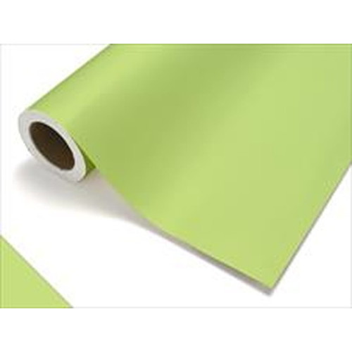 中川ケミカル，カッティングシート，レギュラーシリーズ，415，メロン，450mm×12mの商品画像