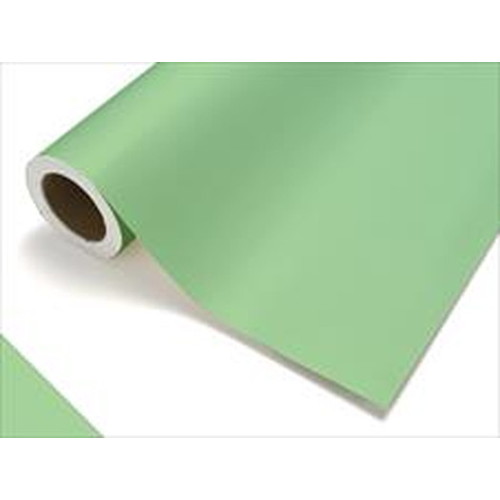 中川ケミカル，カッティングシート，レギュラーシリーズ，417，レタス，450mm×12mの商品画像