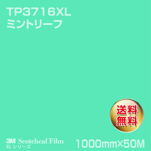 3M スコッチカルXLシリーズ 透過タイプ ミントリーフ グロス TP3716XL 1000mm×50Mの商品画像