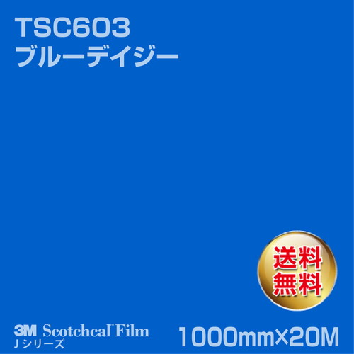 3M スコッチカルJシリーズ 透過タイプ ブルーデイジー グロス TSC603 1000mm×20Mの商品画像