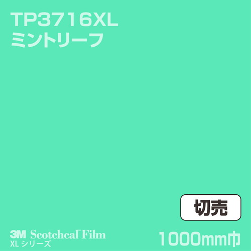 3M スコッチカルXLシリーズ 透過タイプ ミントリーフ グロス TP3716XL 1000mm巾 切売の商品画像