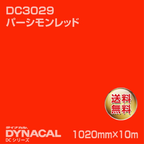 ダイナカル DCシリーズ DC3029 パーシモンレッド 10m トーヨーケム の商品画像