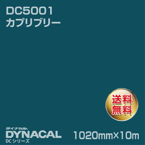 ダイナカル DCシリーズ DC5001 カプリブリー 10m トーヨーケム の商品画像