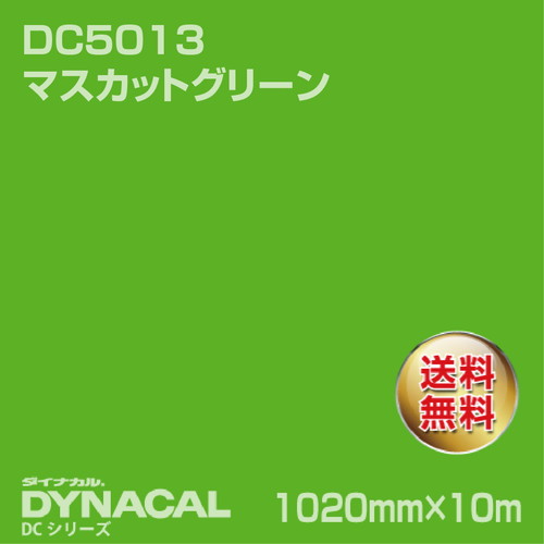 ダイナカル DCシリーズ DC5013 マスカットグリーン 10m トーヨーケム の商品画像