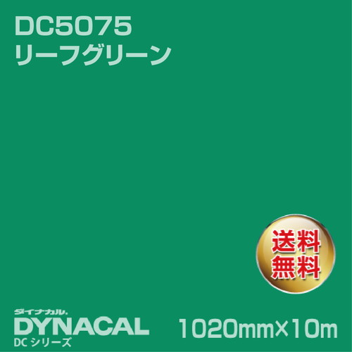 ダイナカル DCシリーズ DC5075 リーフグリーン 10m トーヨーケム の商品画像
