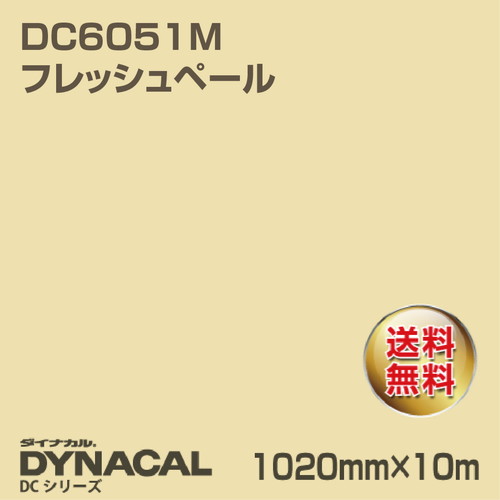 ダイナカル DCシリーズ DC6051M フレッシュペール 10m トーヨーケム の商品画像