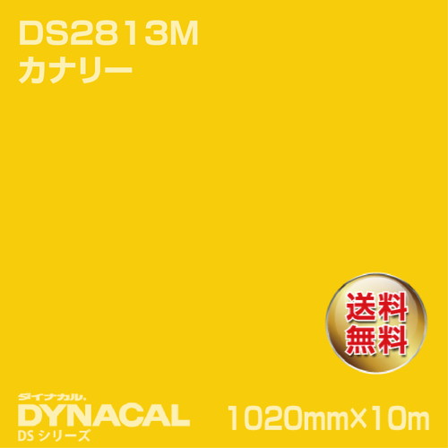 ダイナカル サインDSシリーズ DS2813M カナリー 10m トーヨーケム の商品画像
