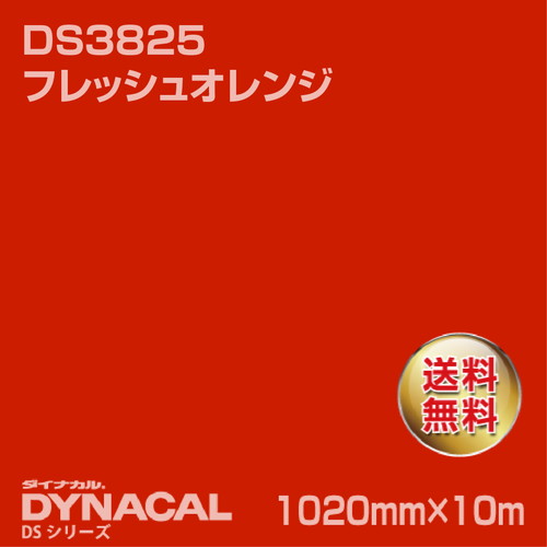 ダイナカル サインDSシリーズ DS3825 フレッシュオレンジ 10m トーヨーケム の商品画像