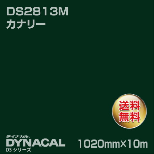 ダイナカル サインDSシリーズ DS5802 ビリジャン 10m トーヨーケム の商品画像