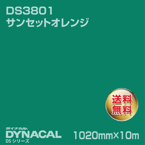ダイナカル サインDSシリーズ DS5838 スプリングノート 10m トーヨーケム の商品画像