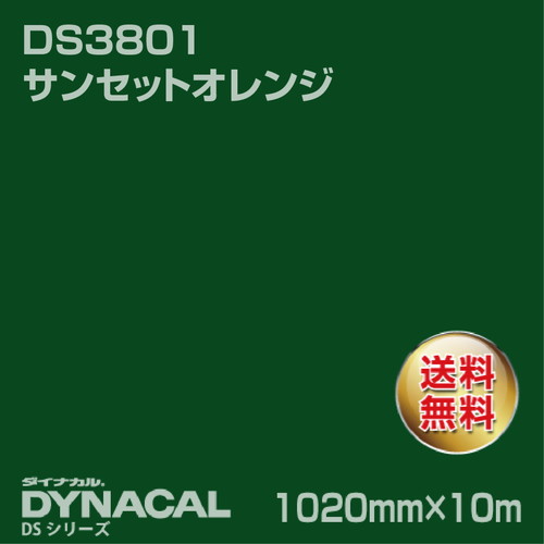 ダイナカル サインDSシリーズ DS5839 ボトルグリーン 10m トーヨーケム の商品画像