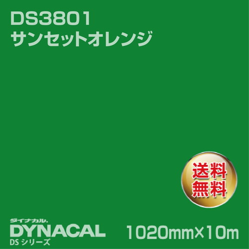 ダイナカル サインDSシリーズ DS5840M リバーサイドG 10m トーヨーケム の商品画像