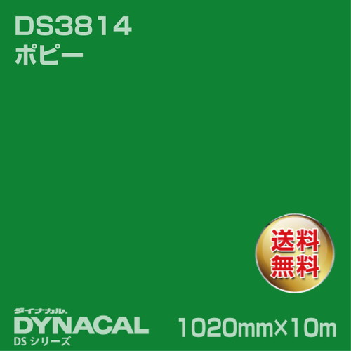 ダイナカル サインDSシリーズ DS5841M ゲイグリーン 10m トーヨーケム の商品画像